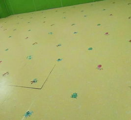 泉州专业幼儿园地板哪家好
